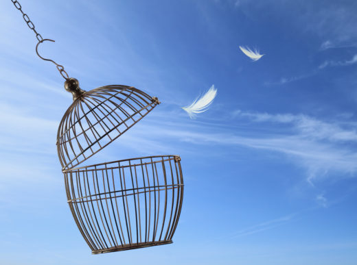 Empty birdcage against a clear, blue sky. Two white feathers float in the bird's wake.